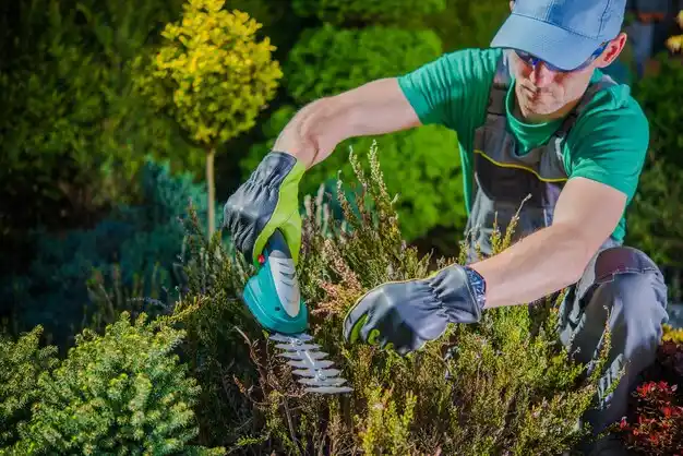 landscaping services St. Martin
